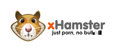 pornos hamster|xHamster